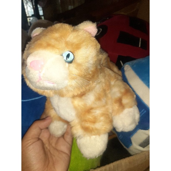 boneka kucing coklat cantik