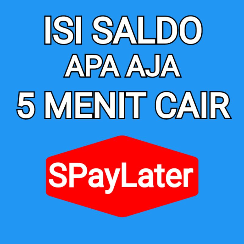 

SALSDO PAYLETER