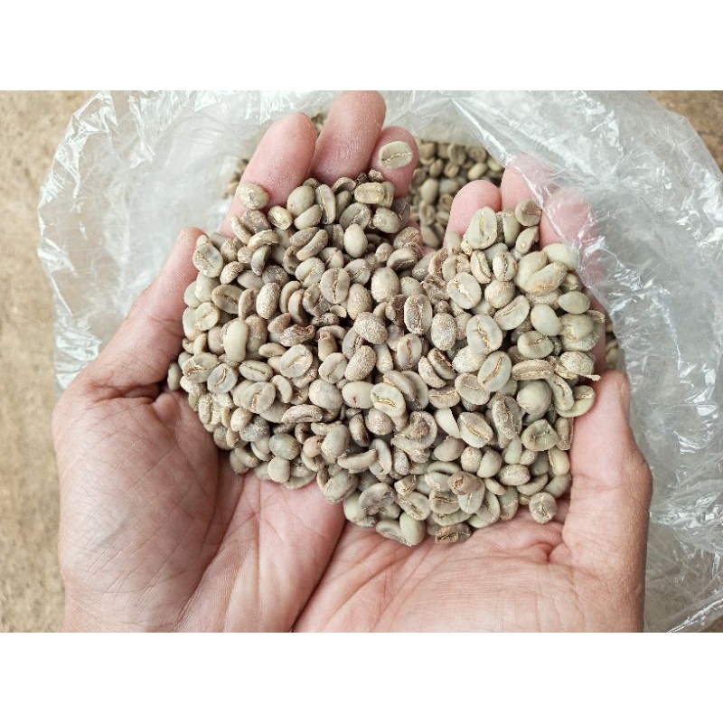 

Green Bean arabica temanggung gunung sumbing