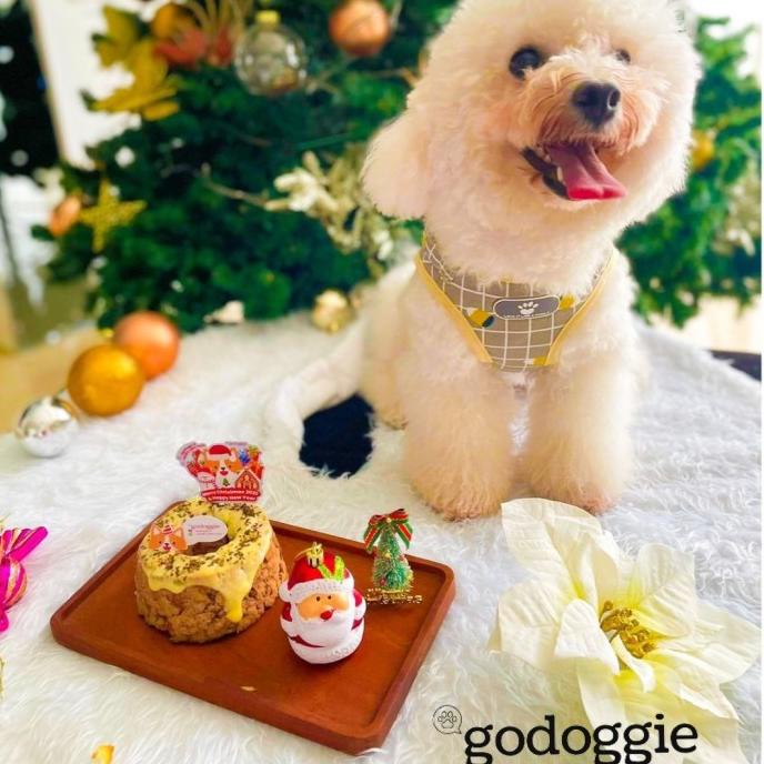 

Xmas Christmas Hampers Natal - Healthy Barkday Cake Anjing Godoggie