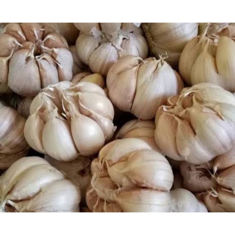 

bawang putih super premium murah glosir(dijamin segar) 1kg