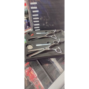 

GUNTING BARBER ELOVE ASLI STENLIS