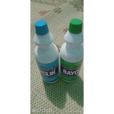 bayclin