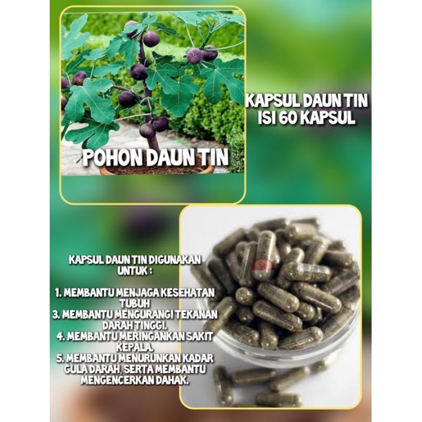 

KAPSUL HERBAL DAUN TIN ISI 60 KAPSUL