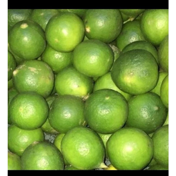 

jeruk nipis 1/2kg