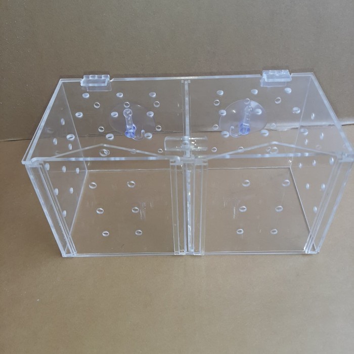 BOX KARANTINA IKAN