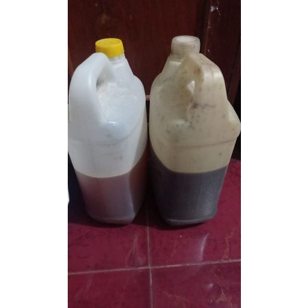 

Gula lontar