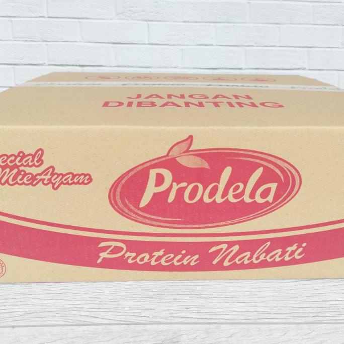 

Promo Prodela Protein Nabati 1dusx24pcs@250g Vegetarian Vegan