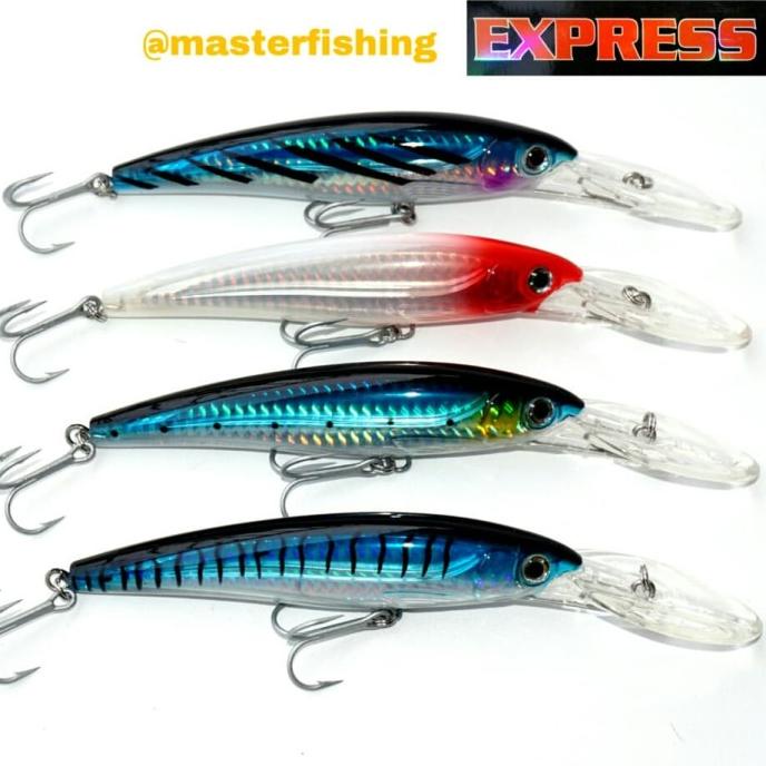 EXPRESS LURE 12cm (MINOW,PELAGIC,HARD LURE, RAPALA)