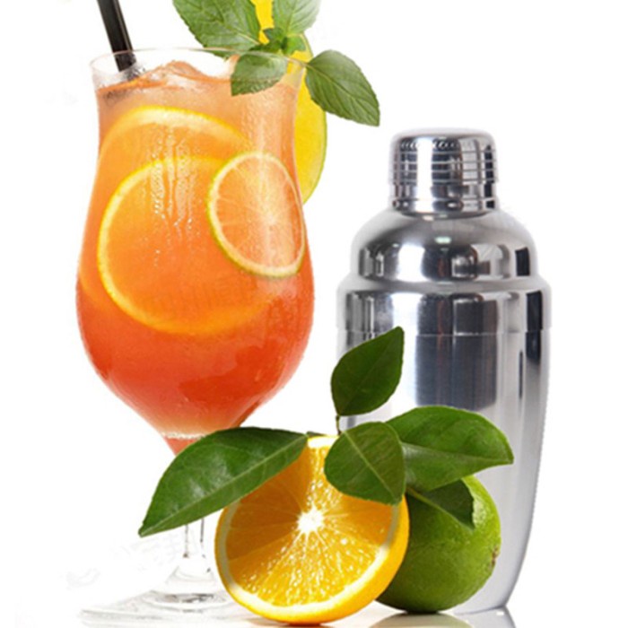 BAROKAH GAMIS BOSTON Shaker cocktail stainless 200ml 350ml 550ml 750ml bartender set