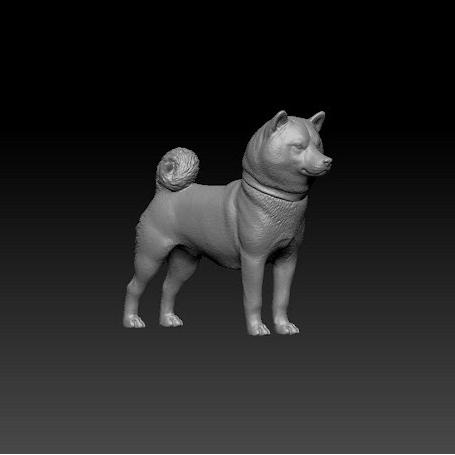 *#*#*#] figure skala 1/64 shiba inu dog