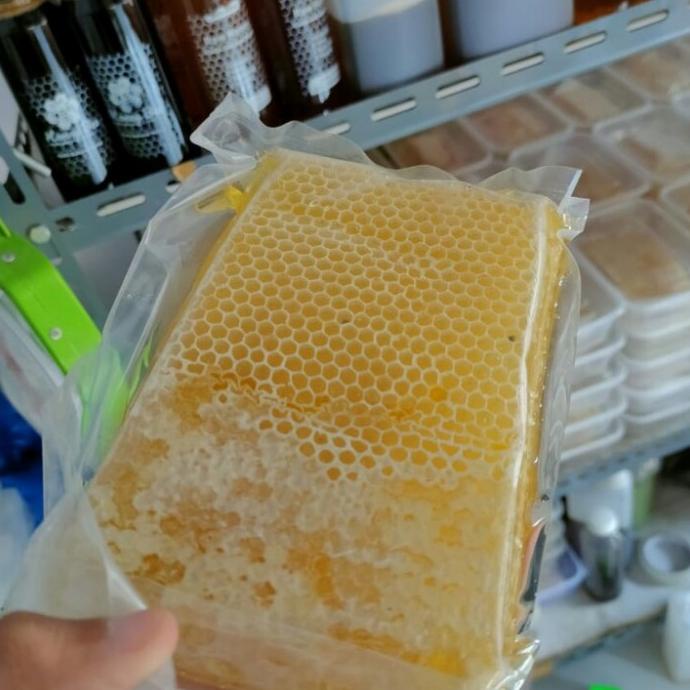 

madu sarang lebah asli murni100%
