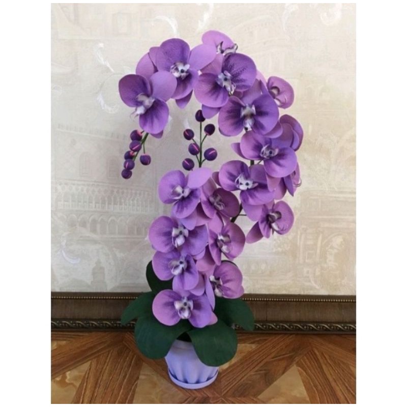 PROMO Anggrek dendrobium bunga unggu purple 