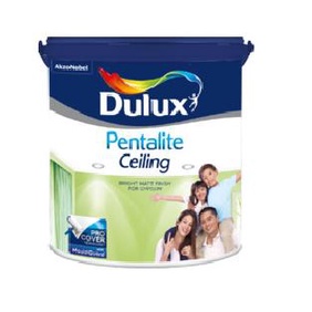 DULUX PENTALITE CEILING