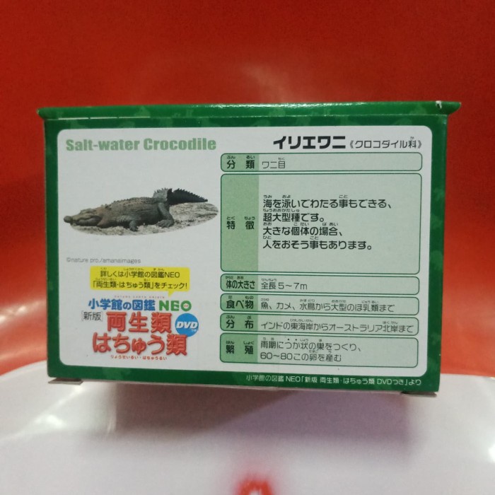 Must Have Takara Tomy Ania Salt Water Crocodile Tomica Terbaru