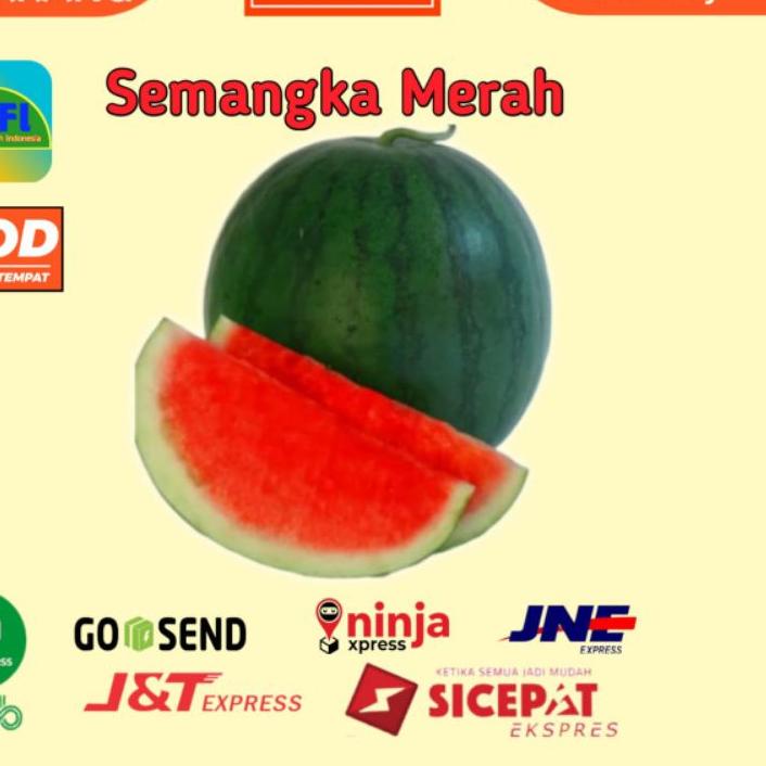 

Discount | HJ6 | BUAH SEMANGKA MERAH TANPA BIJI PCS SIZE 3,5-5KG