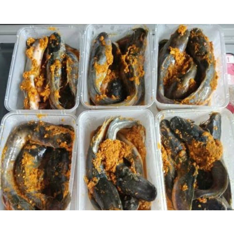 

LELE FRES BUMBU UNGKEP