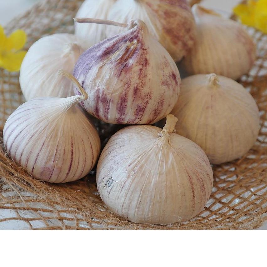 

Promo | TD4 | Bawang Putih Tunggal Lanang Besar 250 G