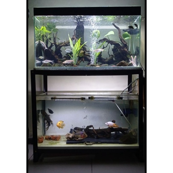 Rak aquarium 60x30 2 susun murah