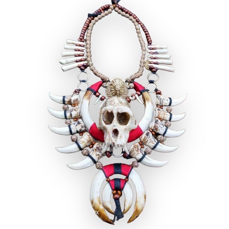 kalung taring khas dayak kalimantan