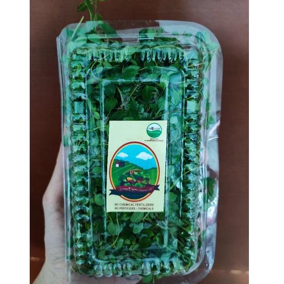 

>V44859) Thyme Organic || 40-50gram || Thyme Organic Italian Herbs