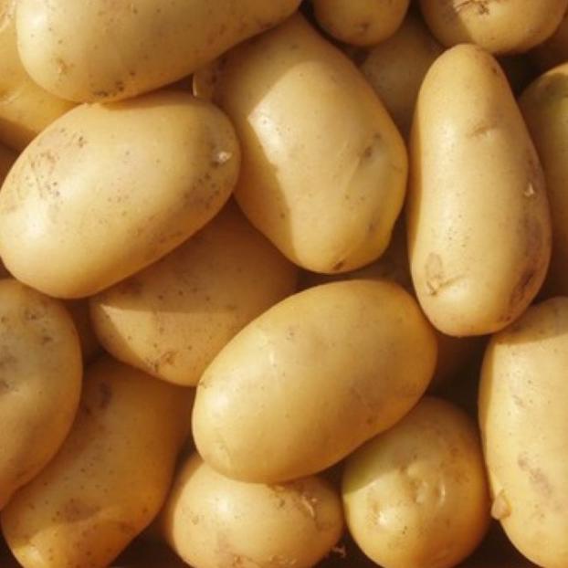 

0T7264 PASAR ONLINE MURAH - KENTANG KUNING 500gr jjpfu