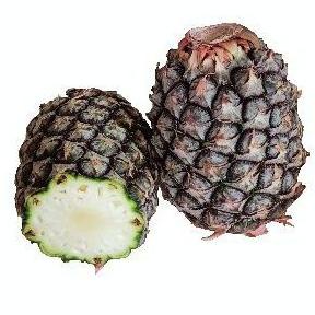 

KH6060 HERBAL Fresh Serba Murah