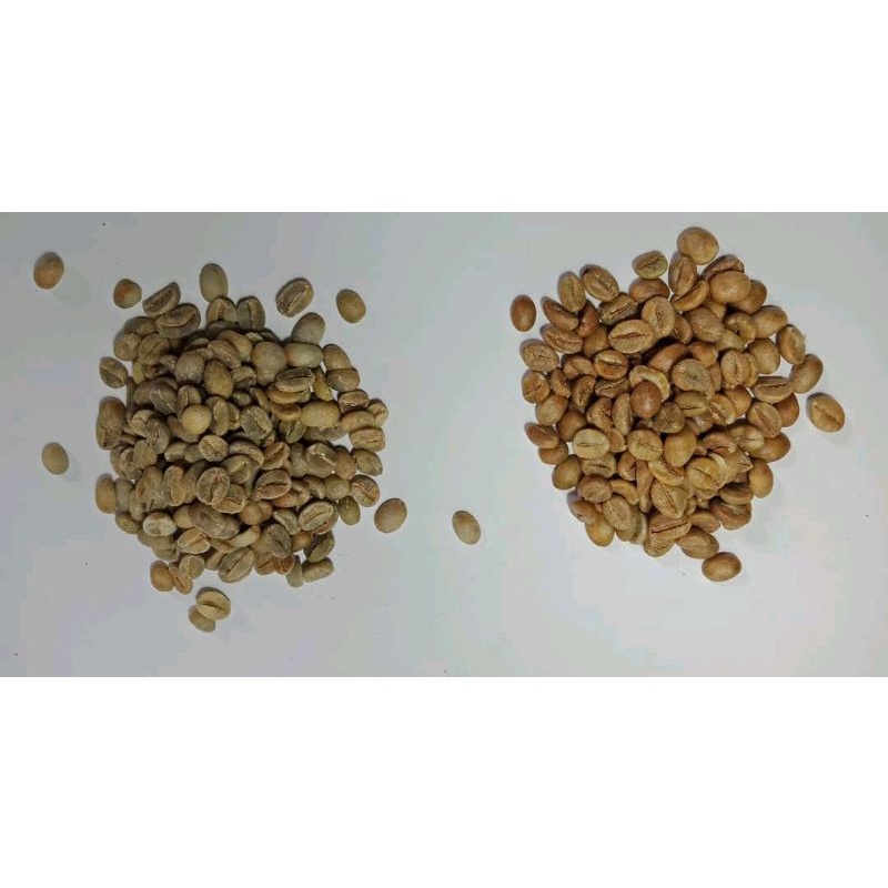 Green Bean Arabika Merapi