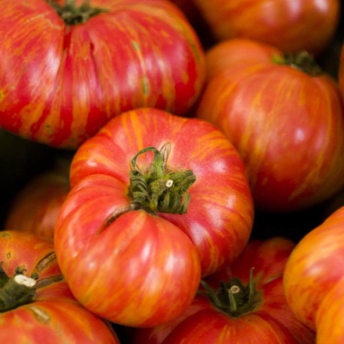 

์ Pusakaเ Grosir| Organik|ธBenih Langka| ุ|Massalมน็| AnggurัRetro Tomatล พด FLPO