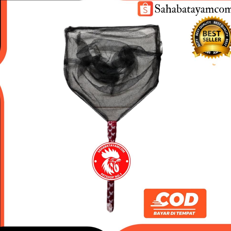 ㊗ SESER LELE/ SESER IKAN LELE/ SEROKAN LELE SEROKAN IKAN SEROKAN IKAN LELE SEROKAN IKAN BESAR SEROKA