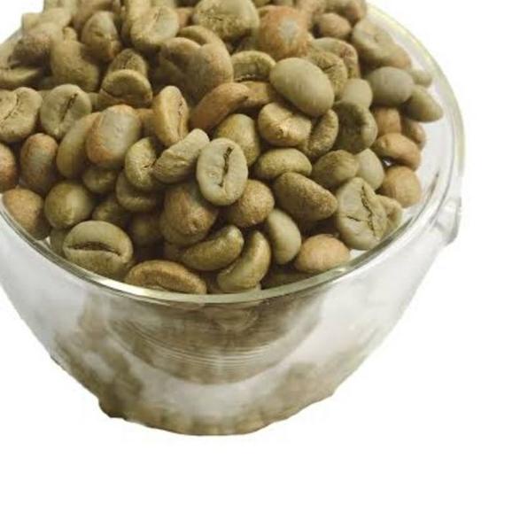 

Limited ⭐ BIO BEAN COMBOX