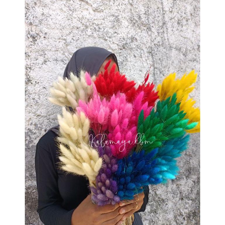 Bunga Buny Tail Lagurus Untuk Dekorasi Rustic Buket Lavender Gandum Craft Mahar Ringbox Palem Dried