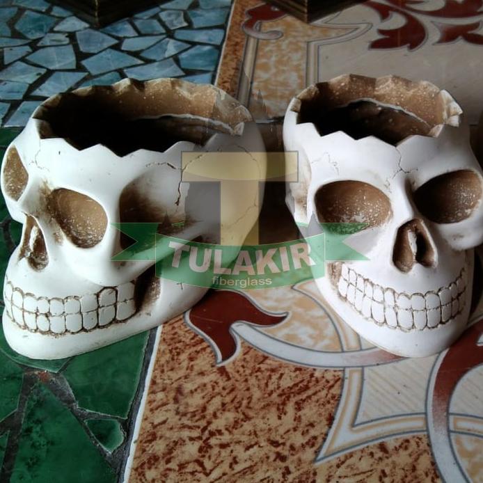 POT VAS BONSAI Tengkorak Tulakir Fiberglass / VAS BUNGA / POT KAKTUS / BONSAI Non COD