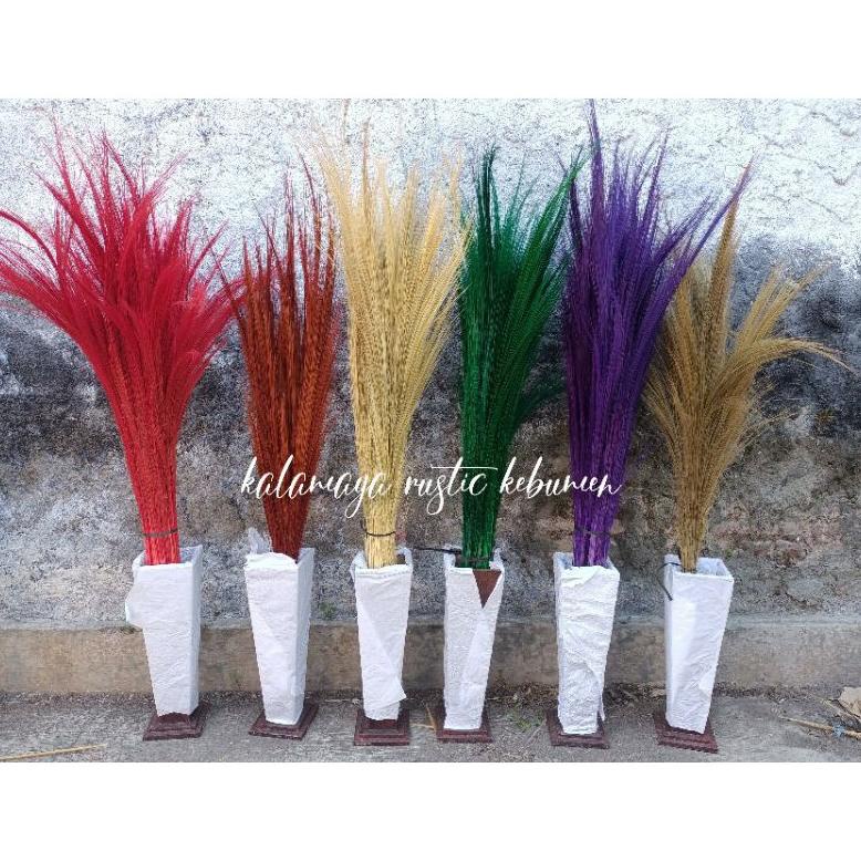 Dekorasi Rustik Bunga Pampas Daun Kering Sikas Palem Gandum Ilalang Pampas Lokal