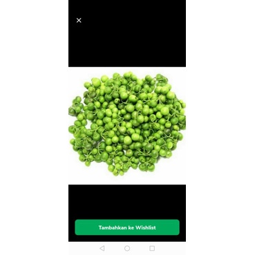 

[PALEMBANG] SAYUR LEUNCA 250 GRAM LALAPAN - SAYUR BUAH IKAN SEGAR ONLINE PRETTY OLSHOP PALEMBANG