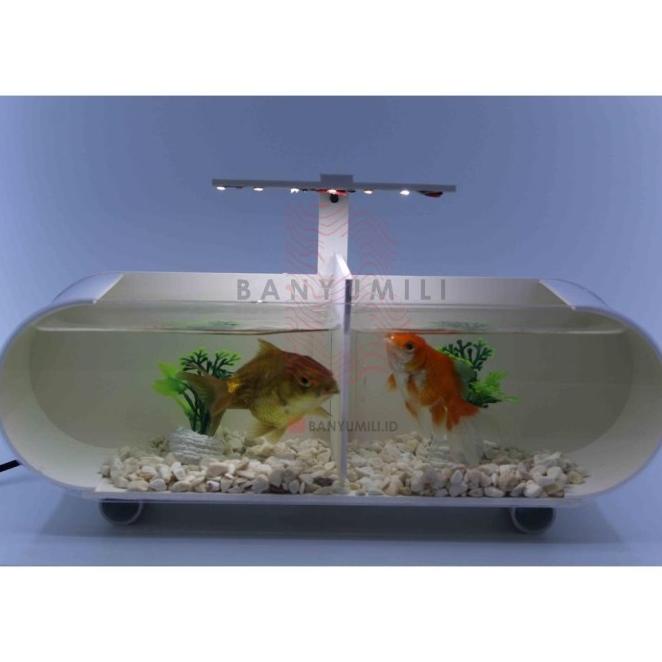 Aquarium / Aquarium Mini / Aquarium Mini + Sekat / Aquarium Akrilik +