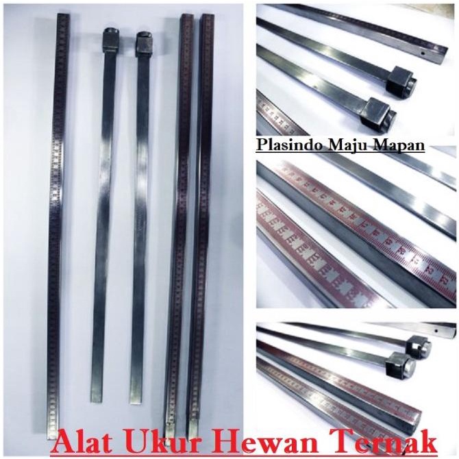 Alat Ukur Hewan Ternak Sapi / Tongkat Ukur Ternak / Tongkat Ukur Hewan