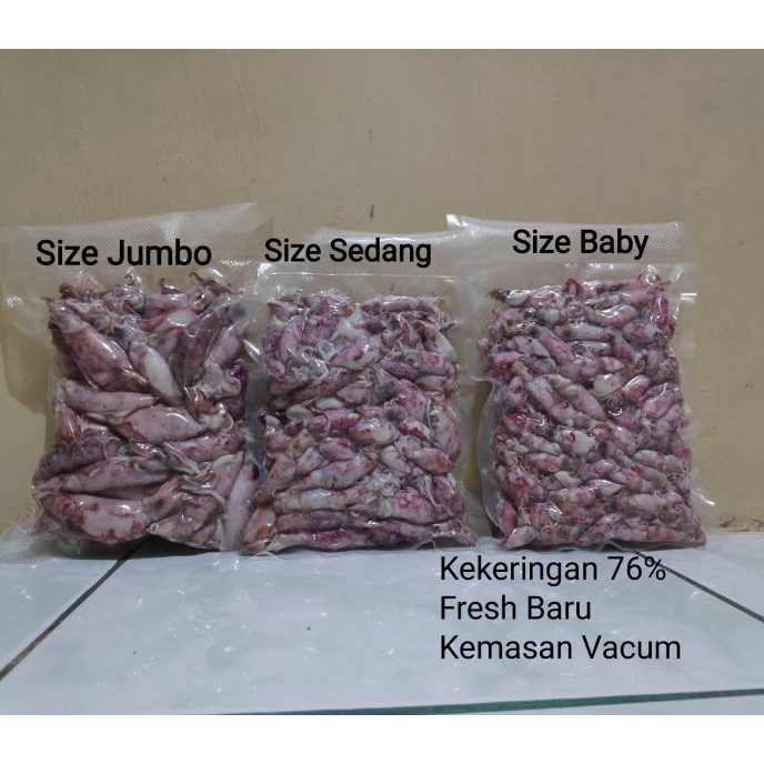 

Discount ⭐ Sotong / Cumi / Cumi Asin / Cumi Rebus 500 Gram Size Jumbo|Sedang|Baby