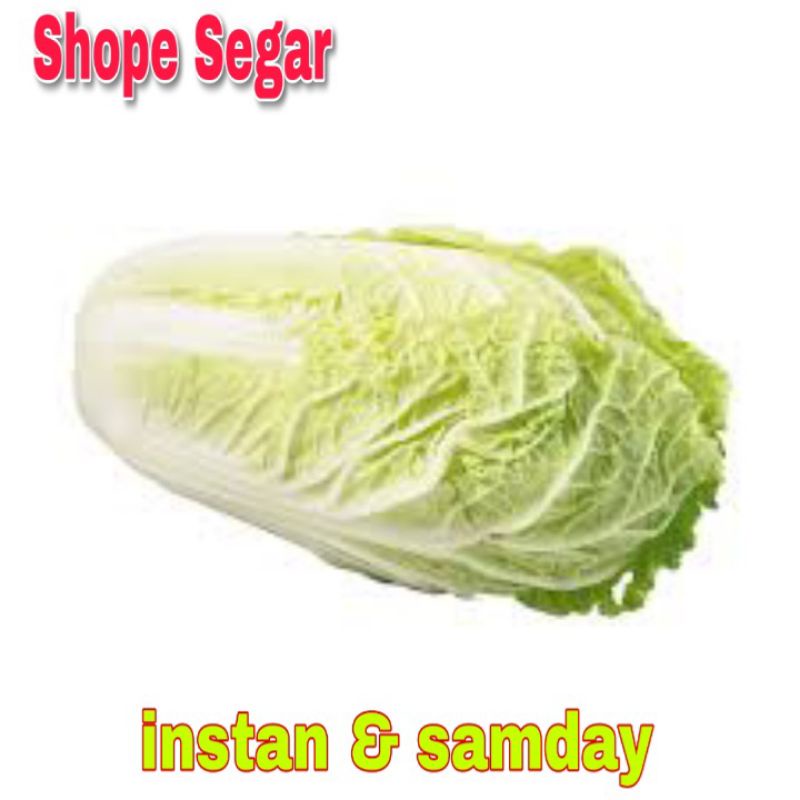 

Sayur Sawi Putih Sawi Capcay Segar