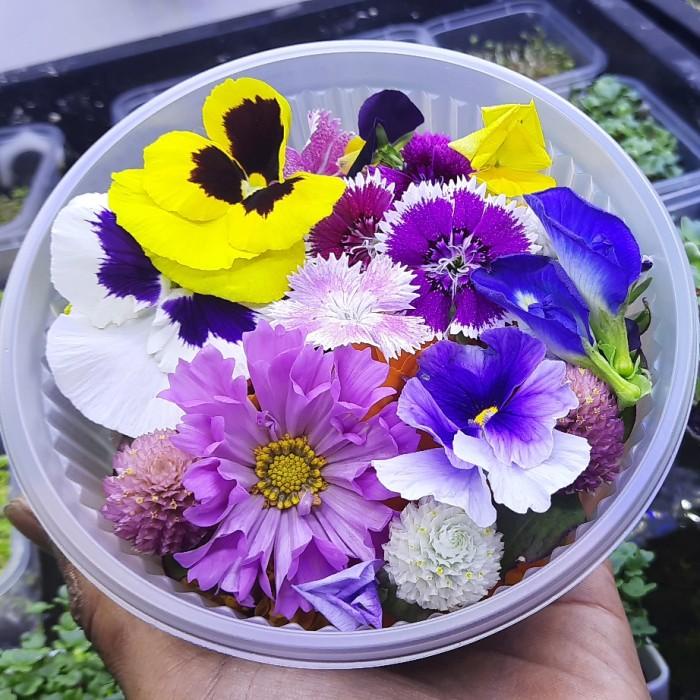 

Best Seller Mix Edible Flower Fresh