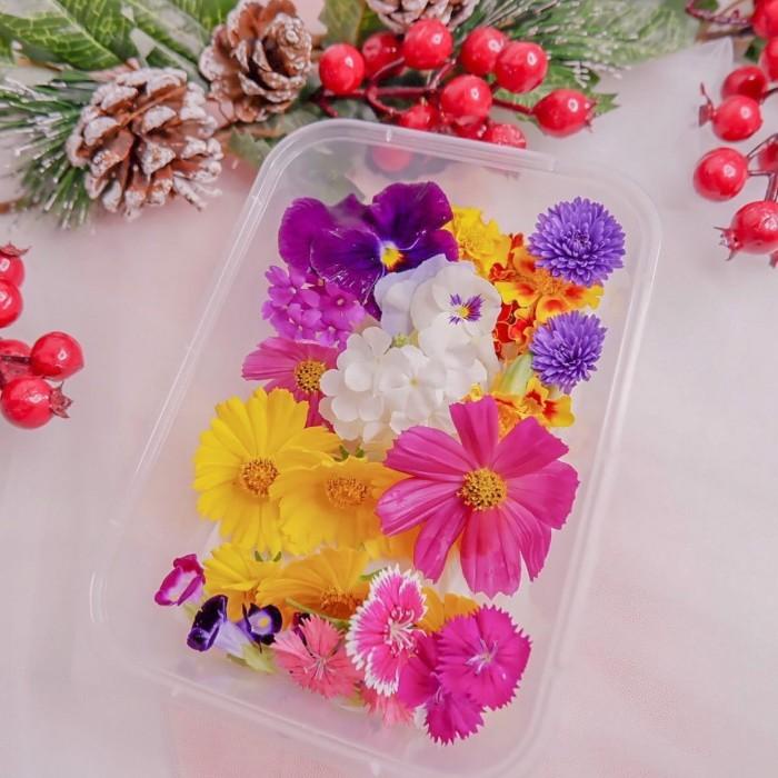 

Best Seller Edible Flower Mixed (Bymich)