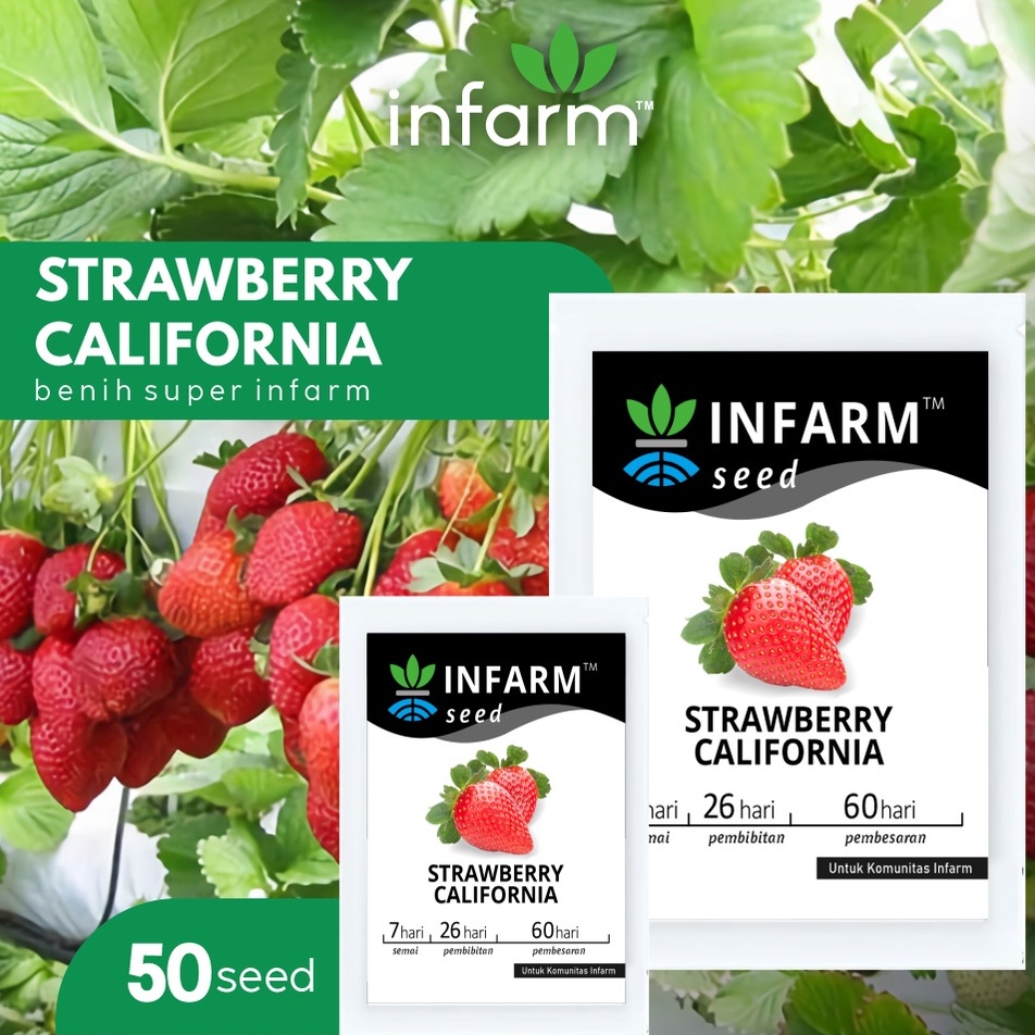COD✔️ INFARM - Benih Bibit Biji Super Buah Strawberry California Besar Manis Berwarna Merah