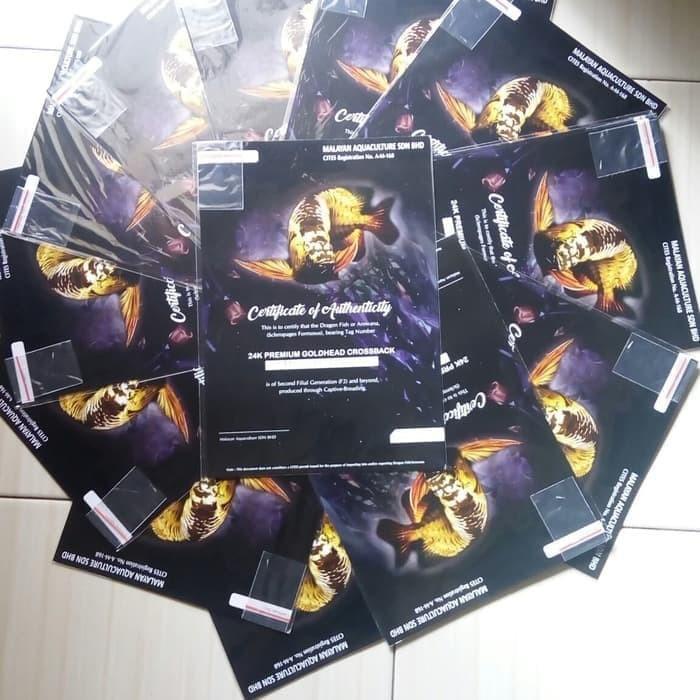 Sertifikat serti plus chip Arwana crossback xback golden malaysia Best Seller