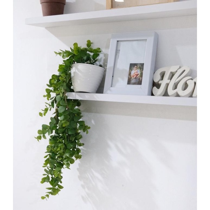 Tanaman Gantung Plastik Eucalyptus