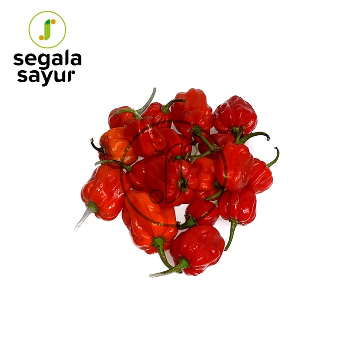 

cabai habanero 100 gr
