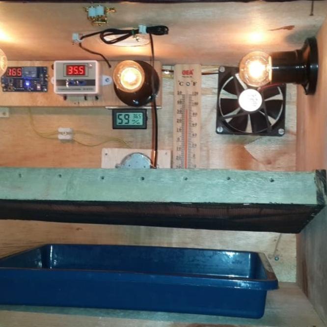 Alat Penetas Telor Ayam Dan Burung Full Otomatis