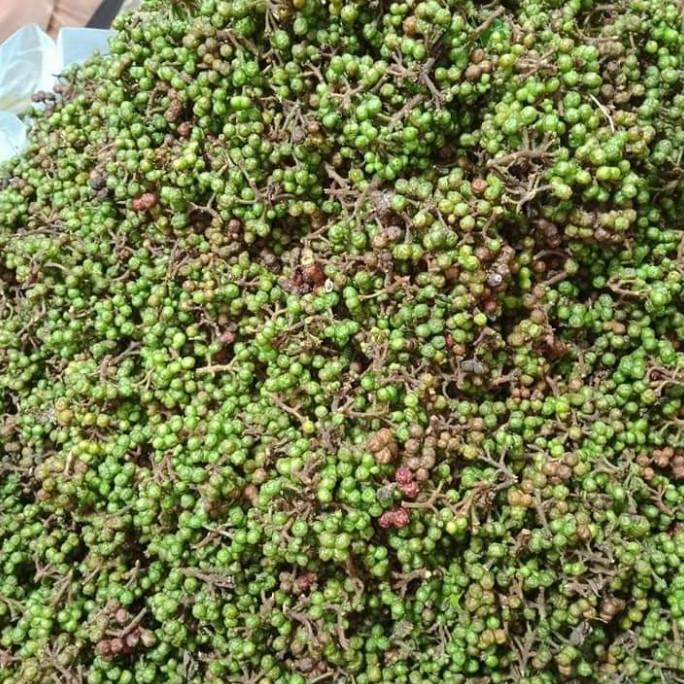 

Andaliman Fresh (Rempah Mahal yang Terlupakan) 500 gr