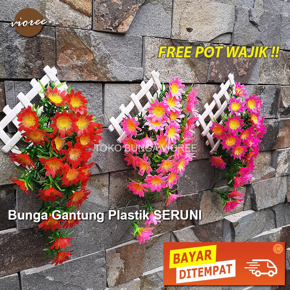 ✲Laris➯ 00NGR Vioree SERUNI Bunga Gantung Plastik Dinding Daun Dekorasi Pot Hias Tembok Rambat Y48 T