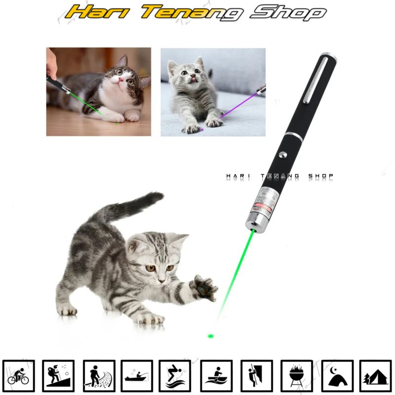 Laser/laser pointer/laser hijau/laser presentase/laser 5mata