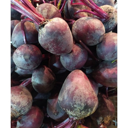 

➚as Serba Murah buah bit 1 kg N42 ✹